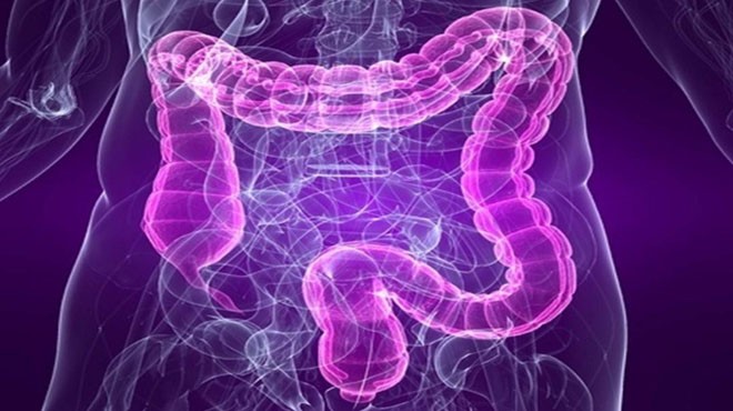 Bağırsak paraziti bitkisel tedavisi