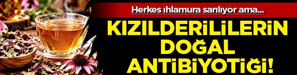 Bağırsak sistemini daha güçlü demir gibi yapıyor: Kızılderililerin doğal antibiyotiği! Kışın talep yağıyor