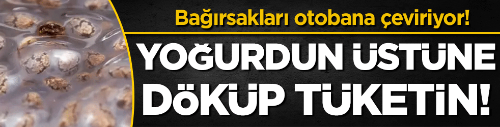 Bağırsakları otobana çeviriyor: Yoğurdun üzerine ekleyip tüketin!
