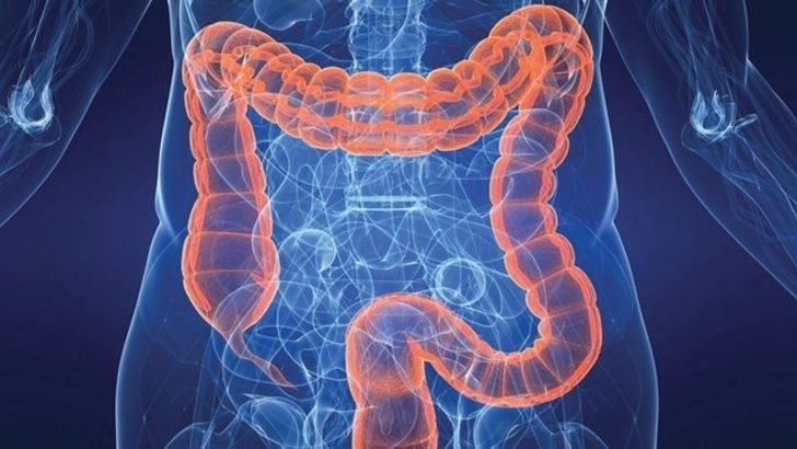 Bağırsaktaki bakteriler nasıl temizlenir?