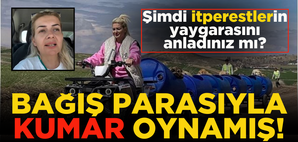 Bağış parasıyla kumar oynamış! Şimdi itperestlerin yaygara sebebini anladınız mı?