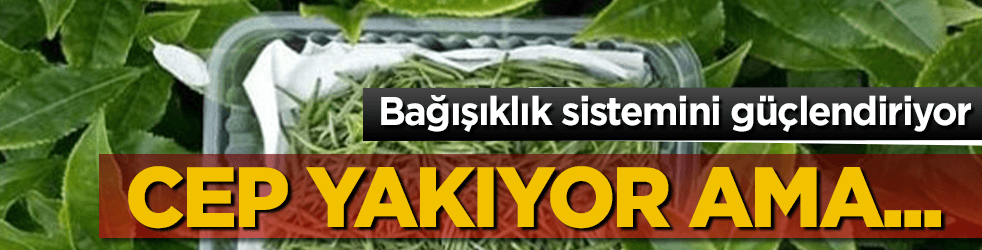 Bağışıklık sistemini güçlendiriyor ama kilosu 4 bin TL! Buna rağmen yok satıyor!