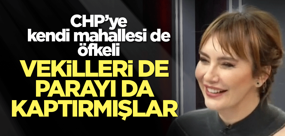 Bahar Feyzan: CHP’nin bütçesi deniz yemeyen keriz mi?