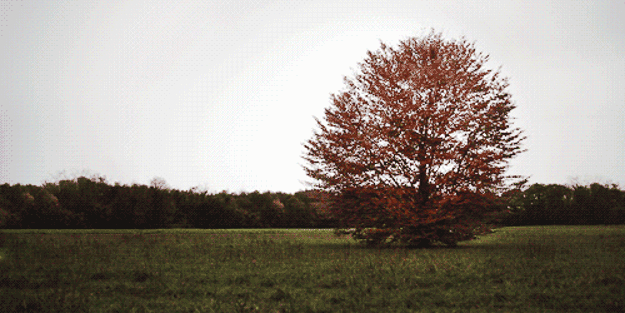 Baharı bekleyen İstanbul'a kış geldi