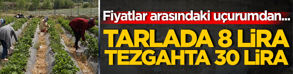 Bahçede 8 lira, tezgahta 30 lira