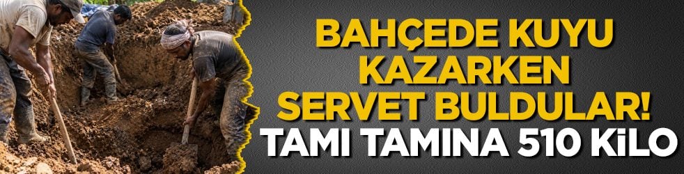 Bahçede kuyu kazarken servet buldular! Tamı tamına 510 kilo