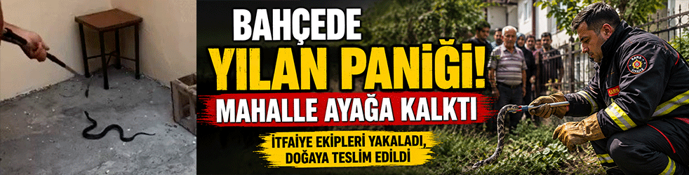 Bahçede yılan paniği! Mahalle ayağa kalktı