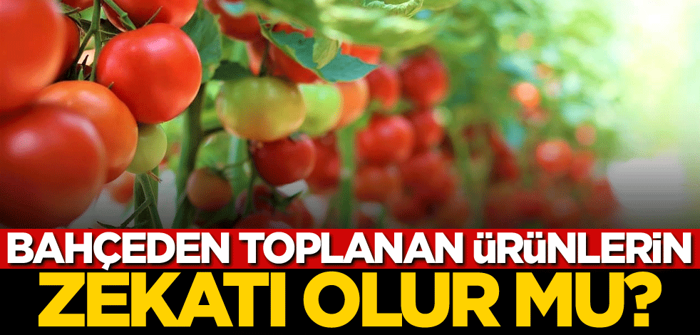 Bahçeden toplanan ürünlerin zekatı olur mu?