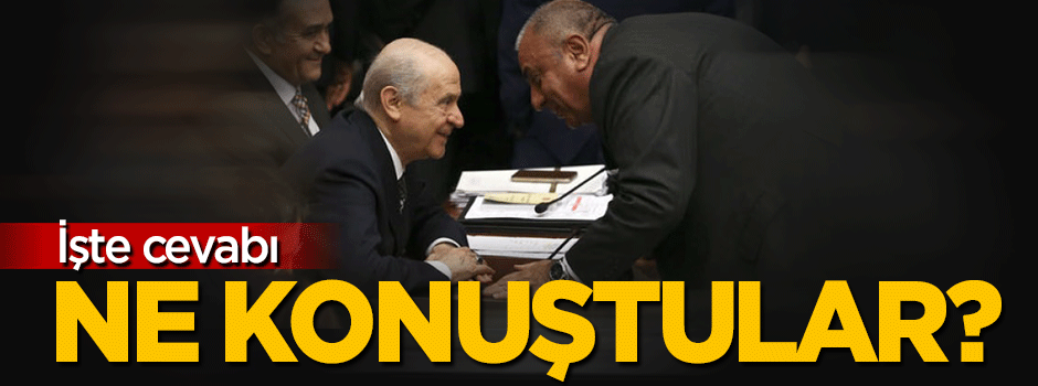 Bahçeli ve Türkeş ne konuştu? İşte cevabı