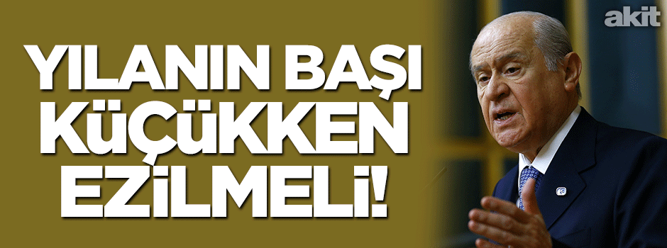 Bahçeli: Yılanın başı küçükken ezilmeli!