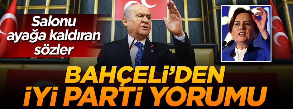 Bahçeli'den İyi Parti yorumu: Sonu siyasi mezarlık