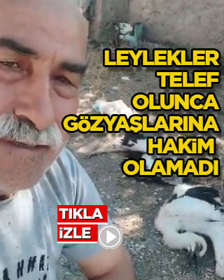 Bahçesindeki leylekler telef olunca gözyaşlarına hakim olamadı