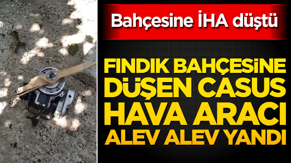 Bahçesine İHA düştü! Alev alev yandı