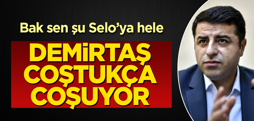 Bak sen şu Selo'ya! Demirtaş coştukça coşuyor