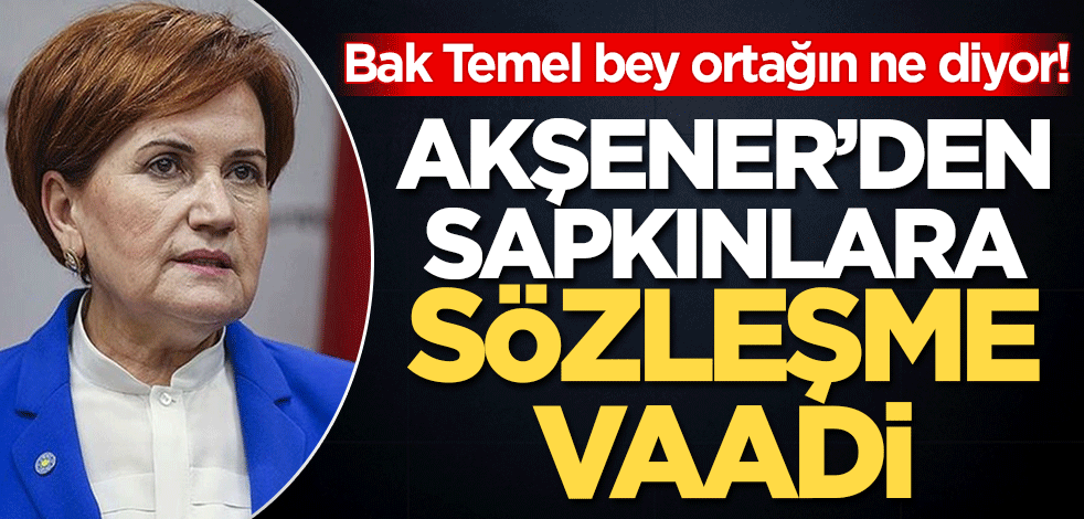 Bak Temel bey ortağın ne diyor! Akşener'den sapkınlara İstanbul Sözleşme sözü