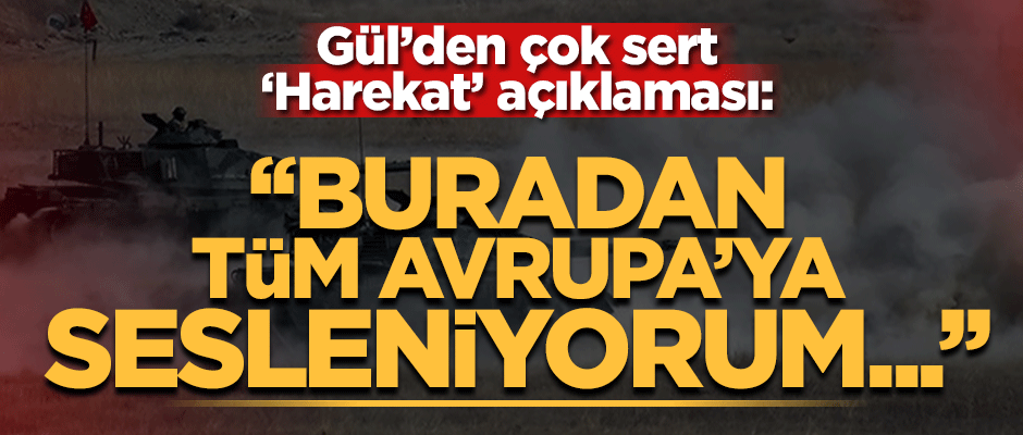 Bakan Abdulhamit Gül'den 'Barış Pınar Harekat' ile ilgili çok sert açıklama