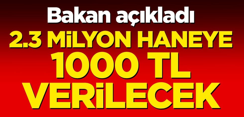 Bakan açıkladı! '2.3 milyon haneye 1000 TL verilecek'