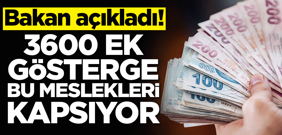 Bakan açıkladı! 3600 ek gösterge bu meslekleri kapsıyor