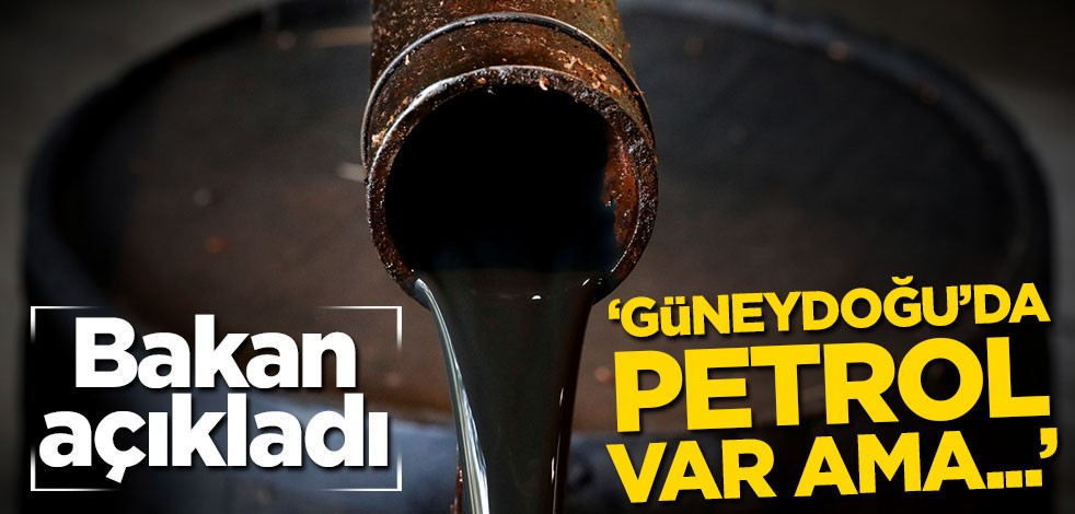 Bakan açıkladı: Güneydoğu’da petrol var ama...