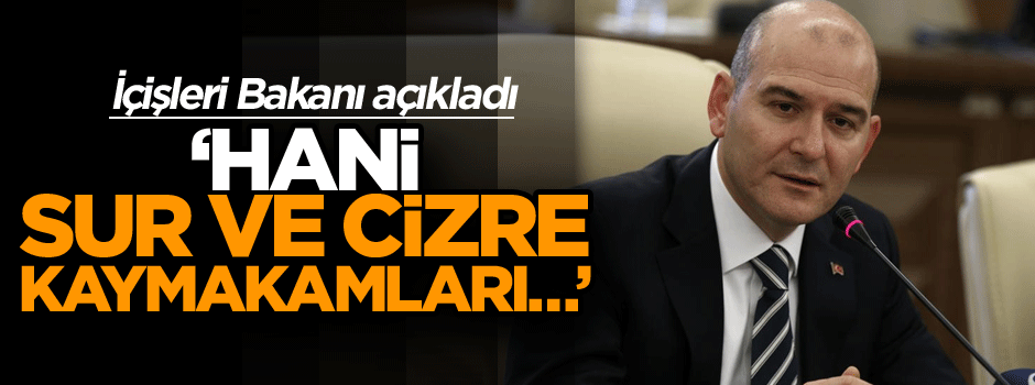 Bakan açıkladı: Hani, Sur, Cizre kaymakamları…