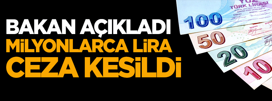 Bakan açıkladı! Milyonlarca lira ceza kesildi