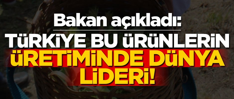 Bakan açıkladı: Türkiye bu ürünlerin üretiminde dünya lideri!
