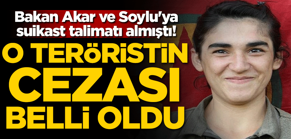 Bakan Akar ve Soylu'ya suikast talimatı almıştı! O teröristin cezası belli oldu