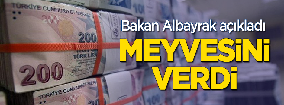 Bakan Albayrak açıkladı! Meyvesini verdi