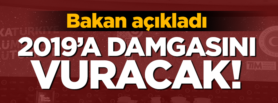 Bakan Albayrak: Bu gururu 2019'da yaşayacağız