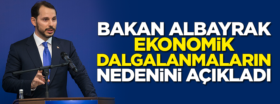 Bakan Albayrak, ekonomik dalgalanmaların nedenini açıkladı