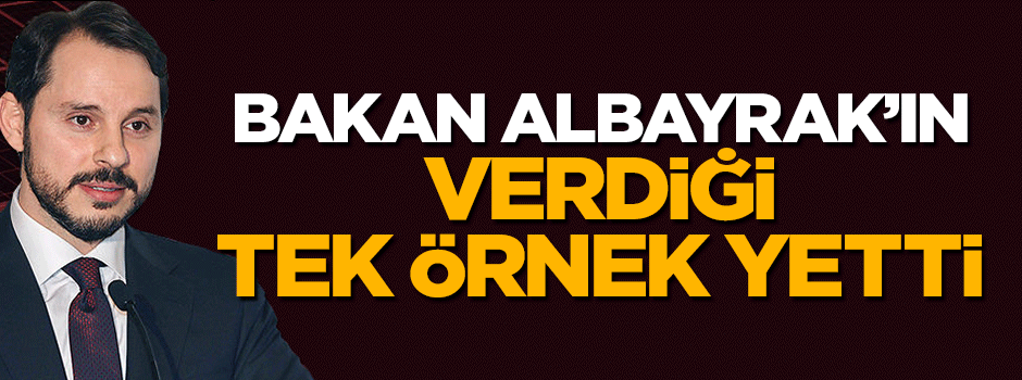 Bakan Berat Albayrak'tan 'diktatörlük' tartışmalarına tokat gibi cevap