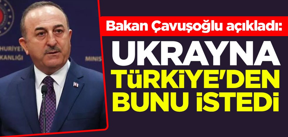 Bakan Çavuşoğlu açıkladı: Ukrayna Türkiye'den bunu istedi