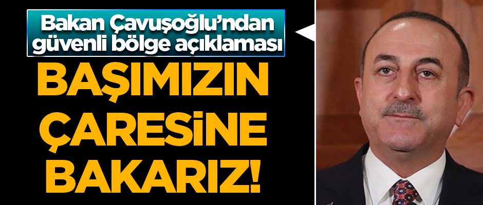 Bakan Çavuşoğlu: Başımızın çaresine bakarız
