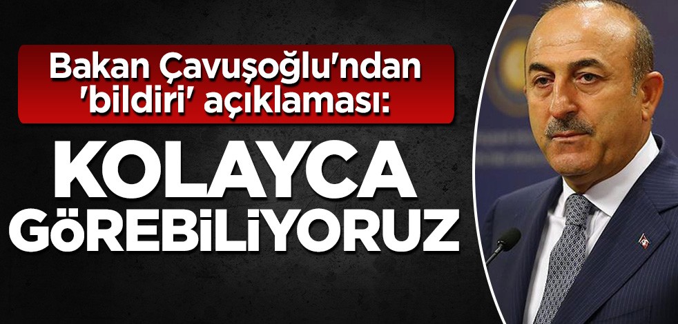Bakan Çavuşoğlu'ndan 'bildiri' açıklaması: Kolayca görebiliyoruz