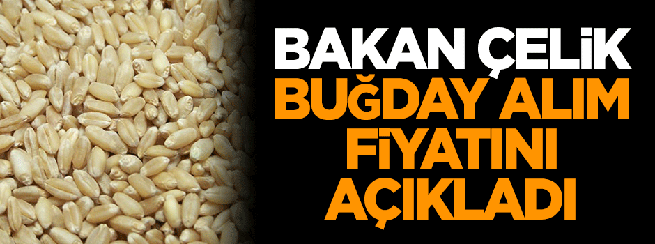 Bakan Çelik, buğday alım fiyatını açıkladı