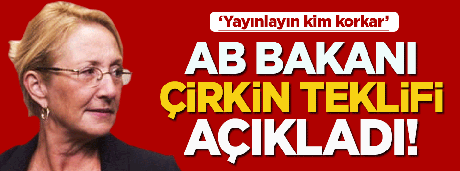 Bakan Dedeoğlu'nu kızdıran teklif! 'Yayınlayın kim korkar'