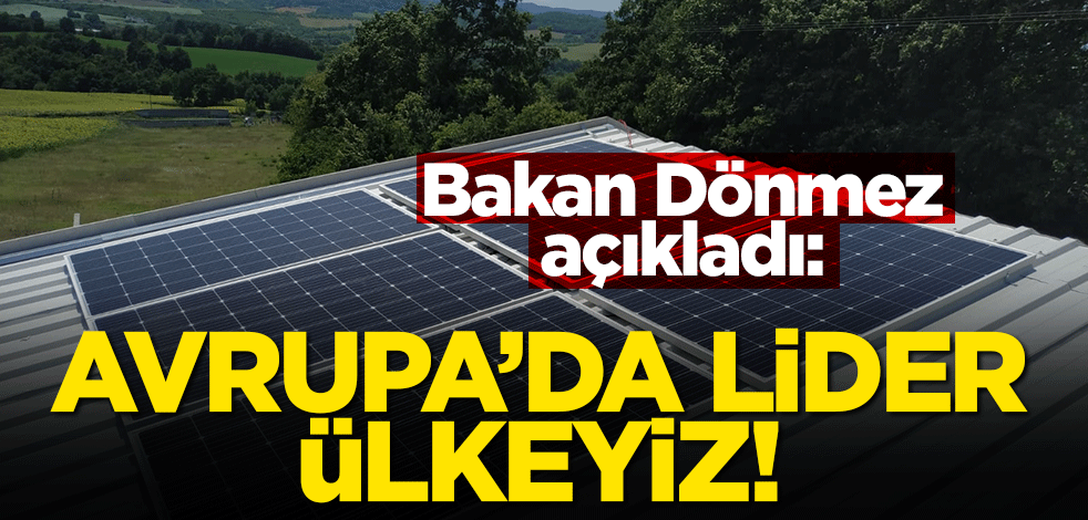 Bakan Dönmez açıkladı: Avrupa'da lider ülkeyiz!