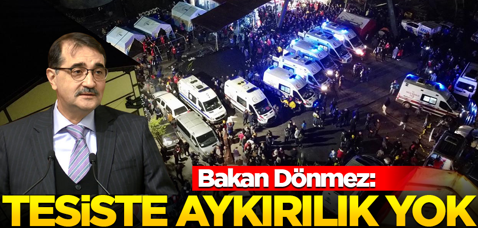 Bakan Dönmez'den Bartın açıklaması: Tesiste aykırılık yok