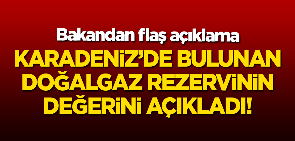 Bakan Dönmez'den flaş açıklama: Karadeniz'de bulunan doğalgaz rezervinin değeri...