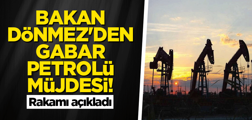 Bakan Dönmez'den Gabar petrolü müjdesi! Rakamı açıkladı