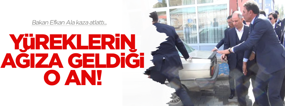 Bakan Efkan Ala kaza atlattı