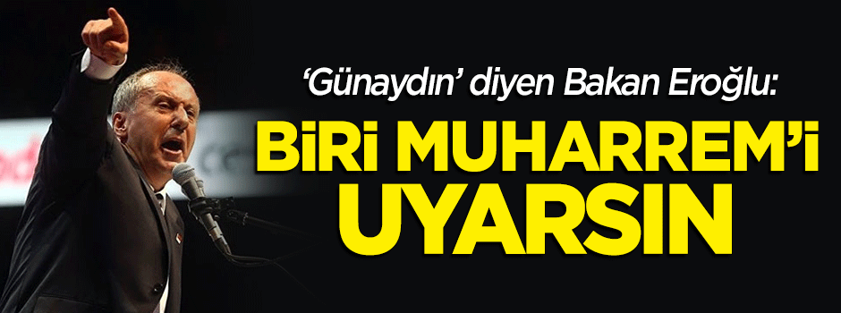 Bakan Eroğlu: Muharrem İnce'yi biri uyarsın, gaf yapıyor!