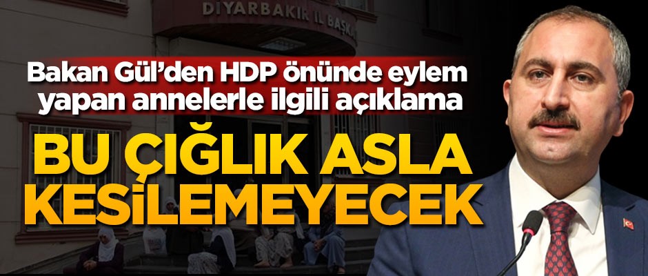 Bakan Gül: Bu çığlık asla kesilemeyecek