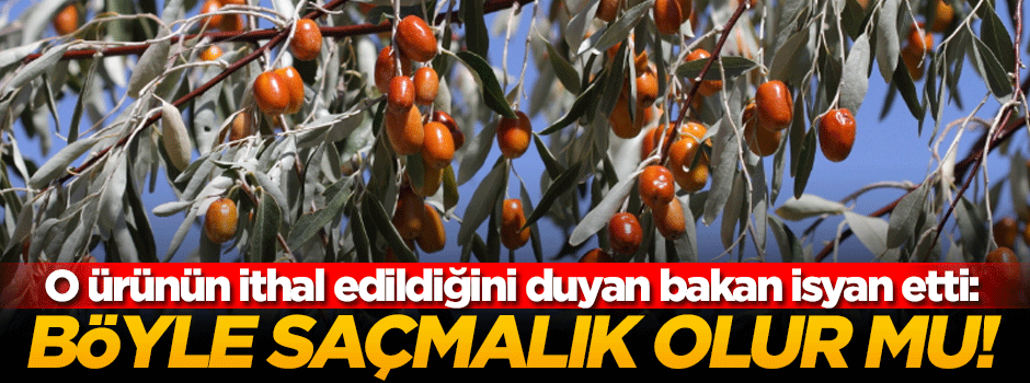 Bakan isyan etti: Böyle saçmalık olur mu