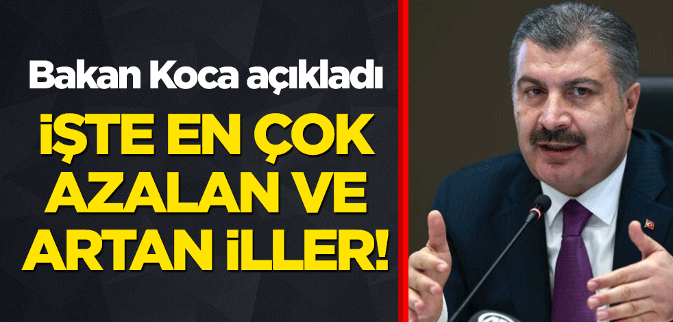 Bakan Koca vaka sayılarını açıkladı! İşte en çok artan ve azalan iller!