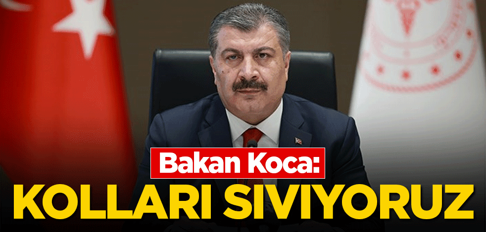 Bakan Koca: Kolları sıvıyoruz