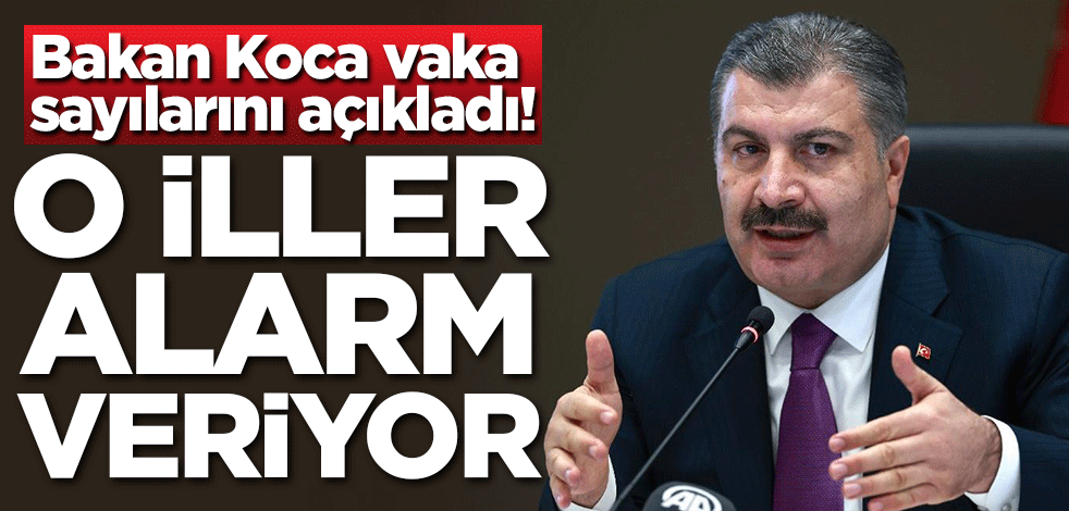 Bakan Koca vaka sayılarını açıkladı! O iller alarm veriyor