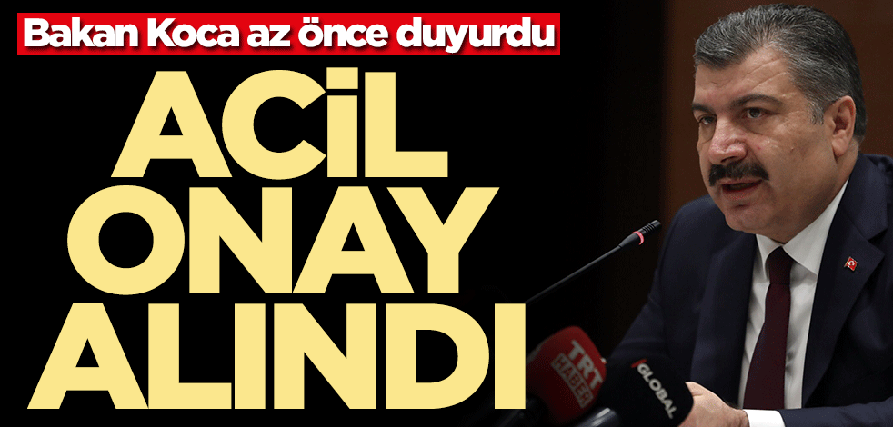 Bakan Koca'dan Sputnik V aşısı açıklaması