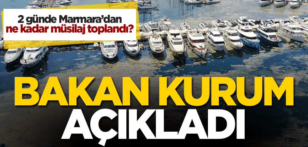 Bakan kurum açıkladı: 392 metre küp temizlendi