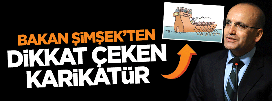 Bakan Mehmet Şimşek'ten dikkat çeken karikatür